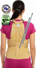 Cargar imagen en el visor de la galería, FAJA DORSOLUMBAR TRANSPIRABLE ELASTICA REFORZADA VARILLAS DE ALUMINIO DORSAL ESPALDA ALTA
