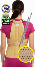 Cargar imagen en el visor de la galería, FAJA DORSOLUMBAR TRANSPIRABLE ELASTICA REFORZADA VARILLAS DE ALUMINIO DORSAL ESPALDA ALTA
