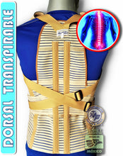Cargar imagen en el visor de la galería, FAJA DORSOLUMBAR TRANSPIRABLE ELASTICA REFORZADA VARILLAS DE ALUMINIO DORSAL ESPALDA ALTA
